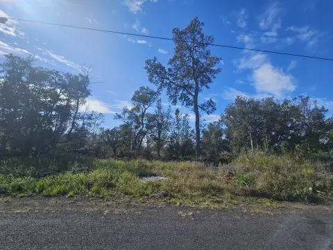 Ocean View Land Parcel