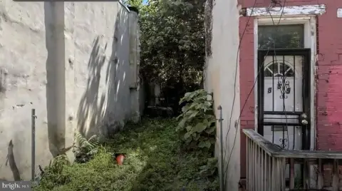 Vacant Lot in Philadelphia