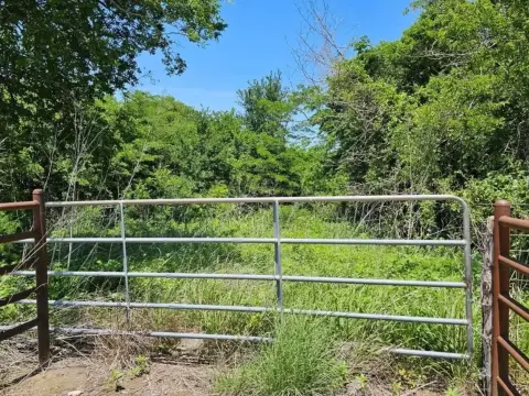 13 Acres of Treed Land