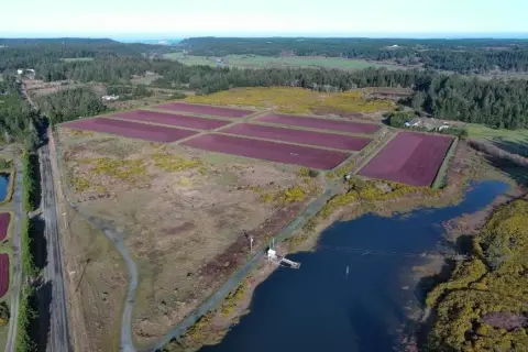 Cranberry Bog Agricultural Land with Reservoirs