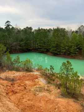 Recreational Hunting Land Tract
