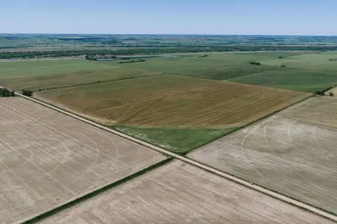 Irrigated Alfalfa Farm Land