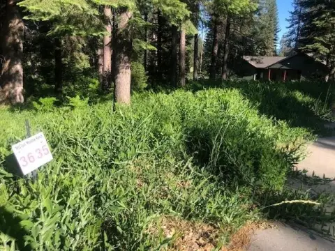 Land in McCloud Meadow Ranch