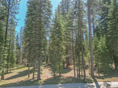 McCloud Meadow Ranch Land