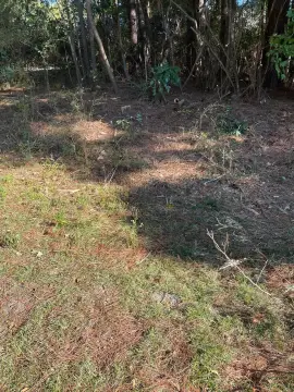 Land in Friendship Estates