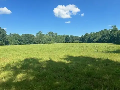 Unrestricted Land in Winston County