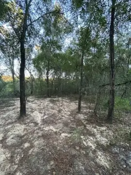 Interlachen, Florida Land Parcel
