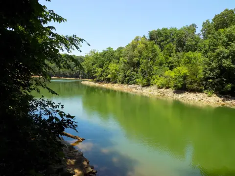 Waterfront Cul-de-Sac Land Lot