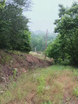 Unrestricted Wooded Land with On-Site Structures