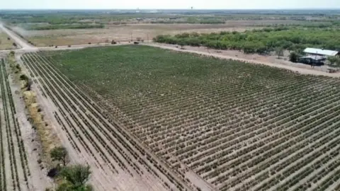 Abilene Agricultural Land For Sale