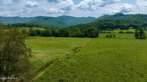Unrestricted Pastureland with Creek