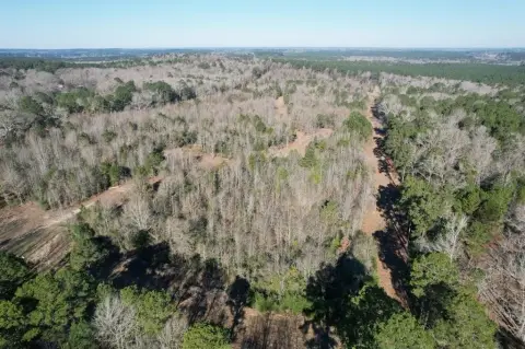 36 Acres in Shelby County