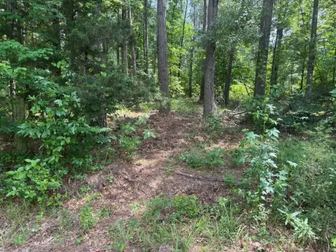 21.78 Acres of Hunting Land