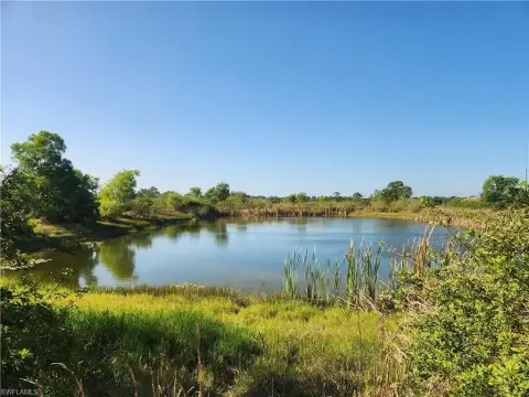 Unique Naples Upland Property