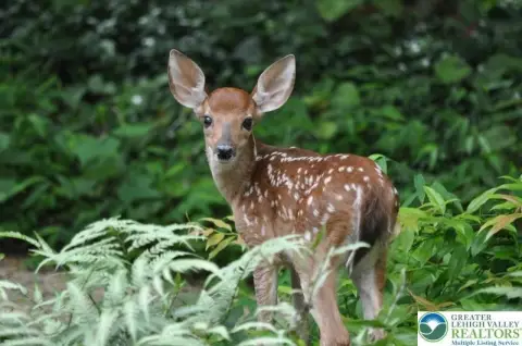 Land in Tunkhannock Township