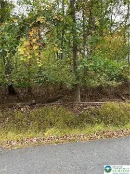 Wooded Lot in Winona Lakes
