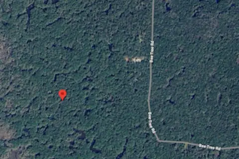 20 Acres Prime Hunting Land