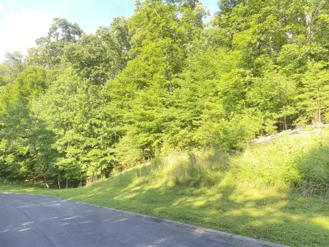 Residential Land Lot in Cove Springs