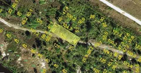 Residential Land in Punta Gorda