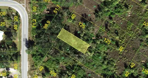 Residential Land in Punta Gorda