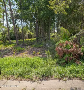 CC-Zoned Commercial Land