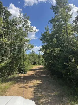 Amity, AR Hunting Land