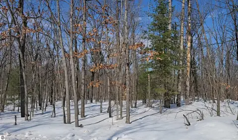 Residential Land Near Clubhouse Amenities