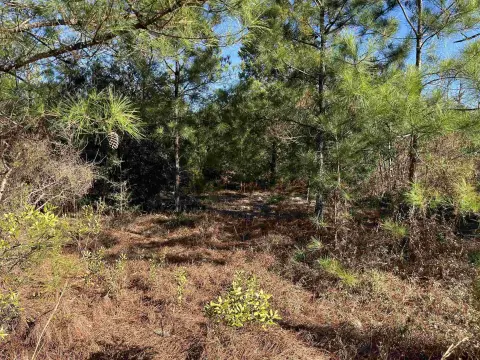 Wooded Lot Near Compass Lake