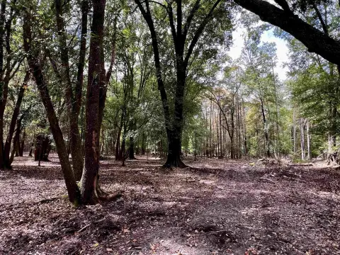 Quincy, FL Land for Sale