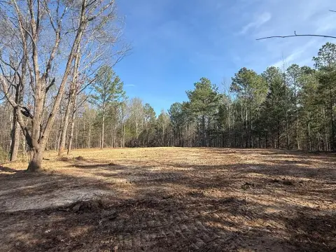 Acreage for Dream Home or Hunting