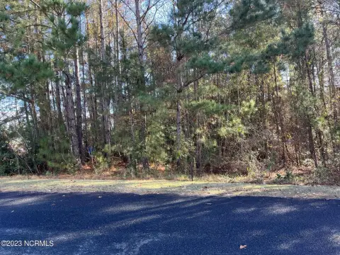 Large Wooded Lot Near Beaches