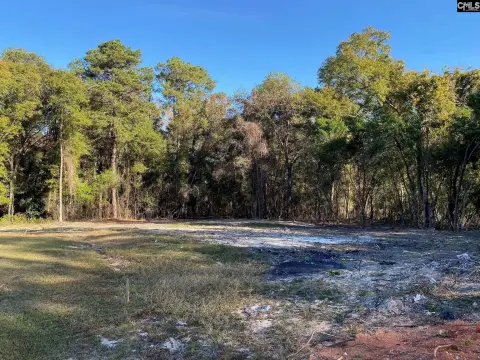 Undeveloped Lot in Columbia, SC