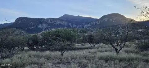 Hereford Land with Mountain Views