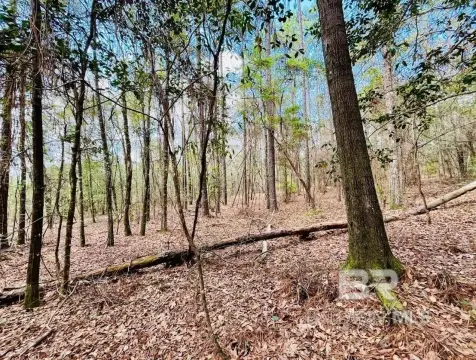 3-Acre Wooded Building Site