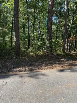 Hot Springs Village Subdivision Lot