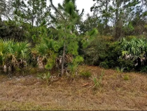 Residential Lot in North Port