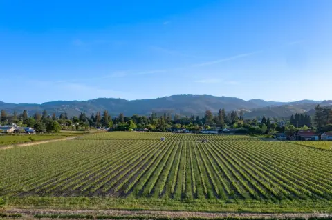 Napa Valley Vineyard Estate Opportunity