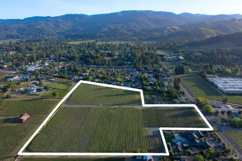 Napa Valley Vineyard Estate Opportunity