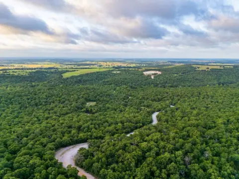 Recreational Hunting Land Tract