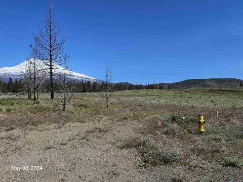 Buildable Lot in Lake Shastina
