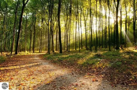 Residential Land with Utilities