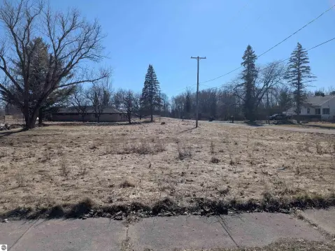 Corner Lot in Turner, MI