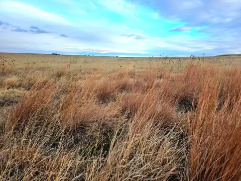 Vacant Land Near Pine Bluffs