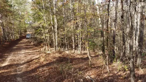 32 Acres Hunting Land