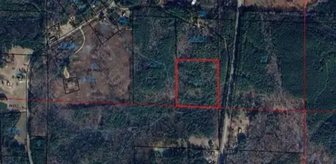 Wooded Land in Lynn, Alabama