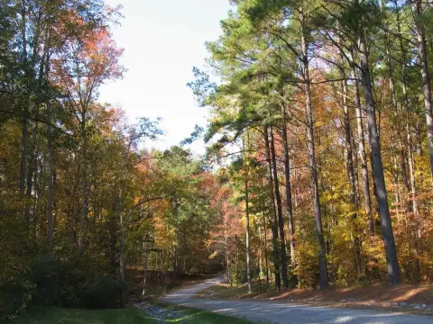 Waterfront Land in Irvington, VA