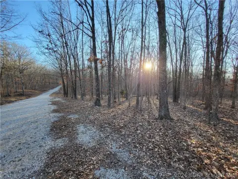 Forbes Lake Wooded Acreage