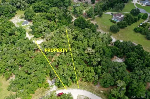 Inverness, FL Acreage for Sale