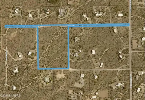 Vacant Land with Saguaro Cacti