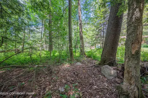 Wooded Residential Development Lot
